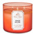 Bath and Body Works White Barn 3 Wick Scented Candle Peach Bellini with Essential Oils 14.5 Ounce