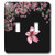 3dRose lsp_97837_2 Pink And White Cherry Blossoms On Black Background Double Toggle Switch