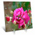 3dRose LLC Pink Rose 6 by 6-Inch Desk Clock