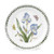Portmeirion Botanic Garden Salad Plate 8in