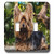3dRose lsp_204357_2 Print of Yorkie Close Up Double Toggle Switch