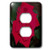 3dRose lsp_14153_6 Red Rose Green Background 2 Plug Outlet Cover
