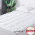 Naluka Mattress Topper Twin Size Pillow top Mattress Cover Down Alternative Quilted Luxury Microfiber Mattress Pad?39''x75''