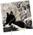 3dRose dc_100280_1 Rocky Mountain Wolf, Black White-Desk Clock, 6 by 6-Inch