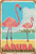 Keely Flamingo Beach  Aruba Metal Vintage Tin Sign Wall Decoration 12x8 inches for Cafe Coffee Bars Restaurants Pubs Man Cave Decorative