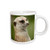 3dRose Slender-Tailed Meerkat/San Diego Zoo/California US05 MPR0039 Maresa Pryor, Ceramic Mug, 11-Oz