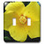 3dRose lsp_20039_2 Sunny Hibiscus Yellow Double Toggle Switch