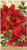 X&O Paper Goods 16 Count, 3-Ply, Paper Dinner Napkin, By Lenox Measures 4.75" x 8" - Vintage Poinsettia