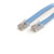 StarTech.com Cisco Console Rollover Cable - RJ45 Ethernet - Network cable - RJ-45 (M) to RJ-45 (M) - 6 ft - molded, flat - blue - ROLLOVERMM6
