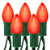 Brite Star 25 Count Ceramic C7 Old Fashioned Light Set, Green Wire, Red