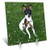 3dRose LLC Toy Fox Terrier 1 Desk Clock, 6 by 6-Inch