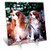 3dRose LLC 2 Blenheim Cavalier King Spaniel Desk Clock, 6 by 6-Inch