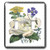 3dRose lsp_38939_2 Victorian Floral Frame Double toggle switch, Silver/White/Purple/Yellow