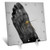 3D Rose Vintage Xray Human Foot Scientific Medical Study Magic Lantern 1910 Desk Clock, 6" x 6"