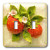 3dRose LLC lsp_28393_2 Watercolor Strawberries, Double Toggle Switch