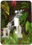 3dRose lsp_46726_1 Waterfall Wilderness Cascade, Fantasy, Forest, Green, Jungle, Landscape, River Single Toggle Switch