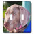 3dRose lsp_206583_2 Weimaraner Puppy Portrait Double Toggle Switch