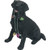 Sandicast Black Labrador Retriever with Holiday Lights Christmas Ornament