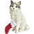 Sandicast Bicolor Ragdoll Cat with Stocking Christmas Ornament