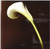 3dRose White Calla Lily Ceramic Tile, 6-Inch
