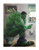 Hulk Splash by Bucket Marvel Parody 12 Inches x 9 Inches Reproduction Gallery Wrapped Canvas Bathroom Toilet Wall Art