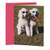 Hallmark Shoebox Friends Birthday Card