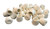 Shepherd Hardware 8756E Leg Tips 1-1/8-Inch Inside Diameter Rubber Chair Leg Caps, 24 Pack, White