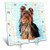 3dRose LLC Yorkshire Terrier 6 by 6-Inch Desk Clock