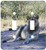 3dRose lsp_26832_2 Young Lion In The Grass Double Toggle Switch