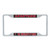 Desert Cactus University of Tampa Spartans NCAA Metal License Plate Frame for Front or Back of Car Officially Licensed (Mascot)