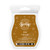 Scentsy Echo Scentsy Bar