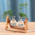 Fashionstorm Desktop Plant Terrarium Glass Planter Bulb Vase with Retro Solid Wooden Stand and Metal Swivel Holder for Hydroponics Plants (2 Bulb Planter)