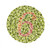 Ishihara Color Blindness Test Poster Print by Science Source (24 x 24)