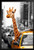 New York Safari Giraffe in Taxi Black Wood Framed Art Poster 14x20
