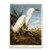 Snowy Heron Artwork by John James Audubon, 14 by 19-Inch Canvas Wall Art