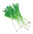 Burpee Toyko Long White Onion Seeds 2000 seeds