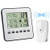 Wireless Weather Station, Digital Indoor Outdoor Thermometer Hygrometer, Remote Sensor, Home Weather Forecaster Station, Humidity, Clock, Alarm Clock