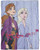 Jay Franco Disney Frozen 2 Forest Spirit Weighted Blanket 4.5 lbs, White
