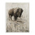 Stupell Industries Sepia Lone Buffalo Distressed Surface Painting Wall Plaque, 10 x 15, Multi-Color
