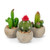 Abbott Collection 27-MOJAVE-18 S/3 Flowering Cactus in Pot-4.5" H, Multi Colour