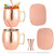 Moscow Mule Copper Mugs Cups Set of 2 Handcrafted with Shot Glass Straws Coasters 18oz Cocktail Drink