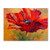 Red Poppy II by Marion Rose, 14x19-Inch Canvas Wall Art
