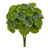 Nearly Natural 14 Peperomia Artificial (Set of 6) (Real Touch) Silk Plants Green
