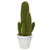 Nearly Natural 1.5 Cactus Succulent Artificial Silk Plants Green