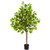 Nearly Natural 4 Lemon Artificial Silk Trees Green