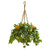 Nearly Natural 31-in. Bromeliad & Pothos Artificial Hanging Basket Silk Plants Green