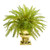 Nearly Natural 20 Fern Artificial Gold Urn Silk Plants Green