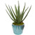 Nearly Natural 18 Aloe Artificial Turquoise Planter Silk Plants, Green