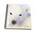 3dRose db_8367_1 Polar Bear-D-Drawing Book, 8 by 8-Inch
