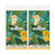 Lion Childrens Birthday Party Tableware Supplies Plastic Tablecover, Rectangular (54 x 84 in), 2 Pack